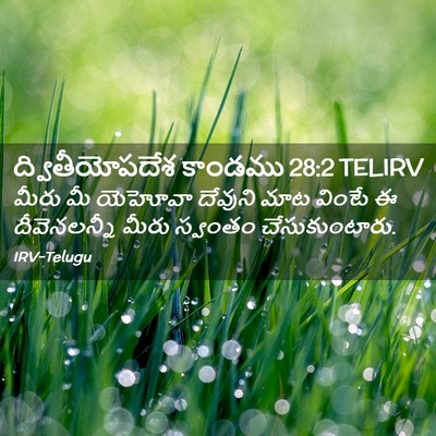 Picture 02 - ద్వితీయోపదేశ కాండము 28:2 TELIRV - మీరు మీ యెహోవా - Bible Verse Picture