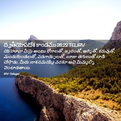 Picture 02 - ద్వితీయోపదేశ కాండము 28:22 TELIRV - యెహోవా మీపై అంటు - Bible Verse Picture