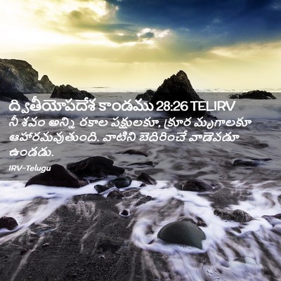 Picture 02 - ద్వితీయోపదేశ కాండము 28:26 TELIRV - నీ శవం అన్ని రకాల - Bible Verse Picture