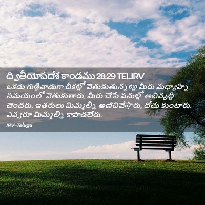 Picture 02 - ద్వితీయోపదేశ కాండము 28:29 TELIRV - ఒకడు గుడ్డివాడుగా - Bible Verse Picture