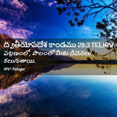 Picture 02 - ద్వితీయోపదేశ కాండము 28:3 TELIRV - పట్టణంలో, పొలంలో - Bible Verse Picture