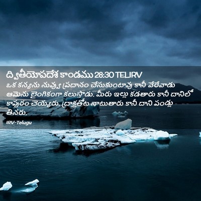 Picture 02 - ద్వితీయోపదేశ కాండము 28:30 TELIRV - ఒక కన్యను నువ్వు - Bible Verse Picture