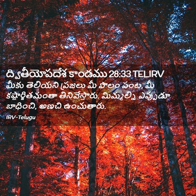 Picture 02 - ద్వితీయోపదేశ కాండము 28:33 TELIRV - మీకు తెలియని - Bible Verse Picture