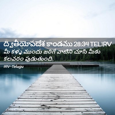Picture 02 - ద్వితీయోపదేశ కాండము 28:34 TELIRV - మీ కళ్ళ ముందు - Bible Verse Picture