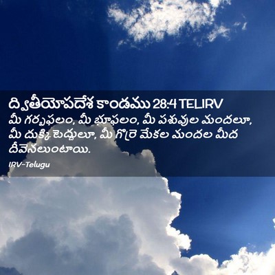Picture 02 - ద్వితీయోపదేశ కాండము 28:4 TELIRV - మీ గర్భఫలం, మీ - Bible Verse Picture