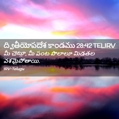 Picture 02 - ద్వితీయోపదేశ కాండము 28:42 TELIRV - మీ చెట్లూ, మీ పంట - Bible Verse Picture