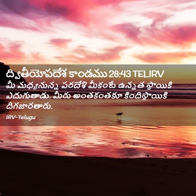 Picture 02 - ద్వితీయోపదేశ కాండము 28:43 TELIRV - మీ మధ్యనున్న - Bible Verse Picture