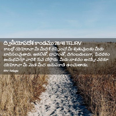 Picture 02 - ద్వితీయోపదేశ కాండము 28:48 TELIRV - కాబట్టి యెహోవా మీ - Bible Verse Picture