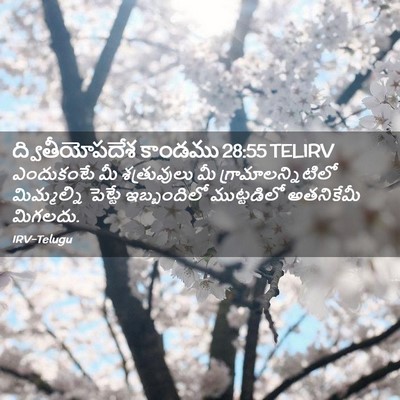 Picture 02 - ద్వితీయోపదేశ కాండము 28:55 TELIRV - ఎందుకంటే మీ - Bible Verse Picture