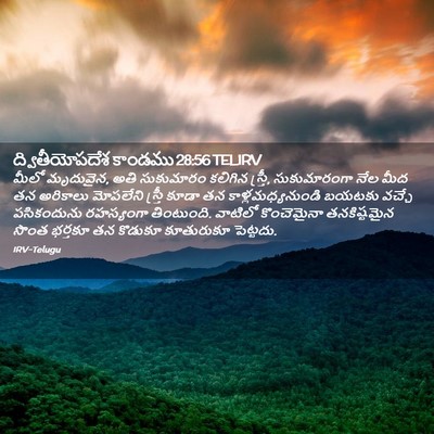 Picture 02 - ద్వితీయోపదేశ కాండము 28:56 TELIRV - మీలో మృదువైన, అతి - Bible Verse Picture
