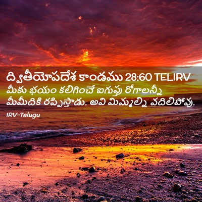 Picture 02 - ద్వితీయోపదేశ కాండము 28:60 TELIRV - మీకు భయం కలిగించే - Bible Verse Picture