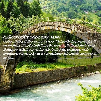 Picture 02 - ద్వితీయోపదేశ కాండము 28:67 TELIRV - రాత్రింబవళ్ళూ భయం - Bible Verse Picture