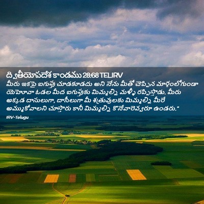 Picture 02 - ద్వితీయోపదేశ కాండము 28:68 TELIRV - మీరు ఇకపై ఐగుప్తు - Bible Verse Picture