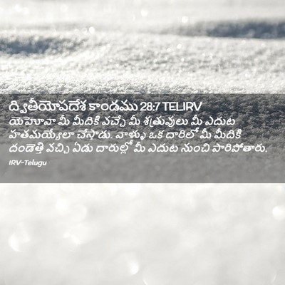 Picture 02 - ద్వితీయోపదేశ కాండము 28:7 TELIRV - యెహోవా మీ మీదికి - Bible Verse Picture
