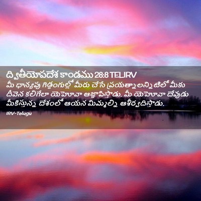Picture 02 - ద్వితీయోపదేశ కాండము 28:8 TELIRV - మీ ధాన్యపు - Bible Verse Picture