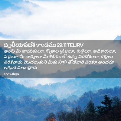 Picture 02 - ద్వితీయోపదేశ కాండము 29:11 TELIRV - అంటే మీ నాయకులూ, - Bible Verse Picture