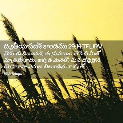 Picture 02 - ద్వితీయోపదేశ కాండము 29:14 TELIRV - నేను ఈ నిబంధన, ఈ - Bible Verse Picture