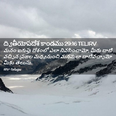 Picture 02 - ద్వితీయోపదేశ కాండము 29:16 TELIRV - మనం ఐగుప్తు - Bible Verse Picture