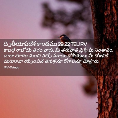 Picture 02 - ద్వితీయోపదేశ కాండము 29:22 TELIRV - కాబట్టి రాబోయే - Bible Verse Picture