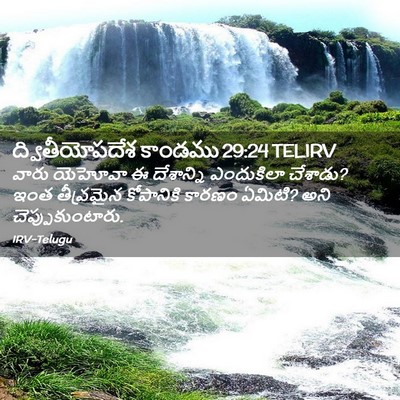Picture 02 - ద్వితీయోపదేశ కాండము 29:24 TELIRV - వారు యెహోవా ఈ - Bible Verse Picture
