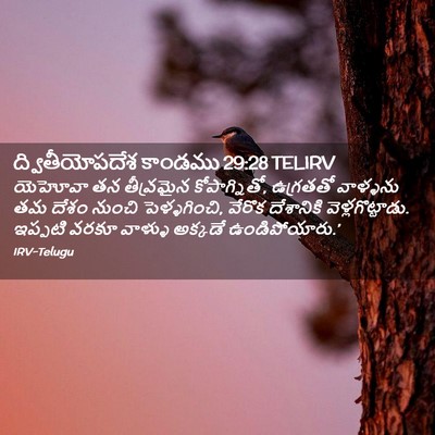 Picture 02 - ద్వితీయోపదేశ కాండము 29:28 TELIRV - యెహోవా తన - Bible Verse Picture