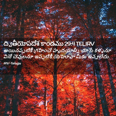 Picture 02 - ద్వితీయోపదేశ కాండము 29:4 TELIRV - అయినప్పటికీ - Bible Verse Picture