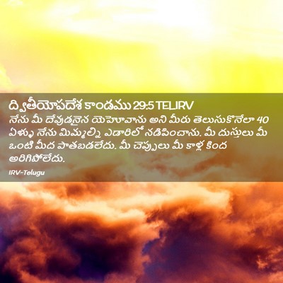 Picture 02 - ద్వితీయోపదేశ కాండము 29:5 TELIRV - నేను మీ దేవుడనైన - Bible Verse Picture