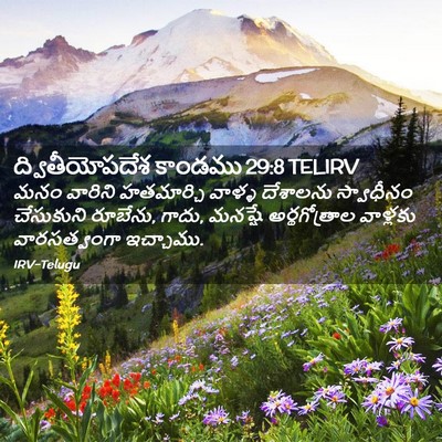 Picture 02 - ద్వితీయోపదేశ కాండము 29:8 TELIRV - మనం వారిని - Bible Verse Picture