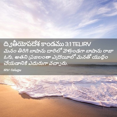 Picture 02 - ద్వితీయోపదేశ కాండము 3:1 TELIRV - మనం తిరిగి బాషాను - Bible Verse Picture