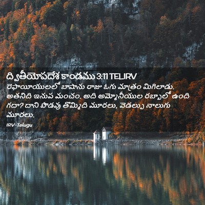 Picture 02 - ద్వితీయోపదేశ కాండము 3:11 TELIRV - రెఫాయీయులలో - Bible Verse Picture