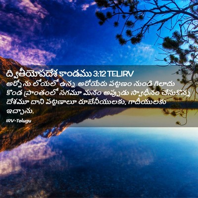 Picture 02 - ద్వితీయోపదేశ కాండము 3:12 TELIRV - అర్నోను లోయలో - Bible Verse Picture