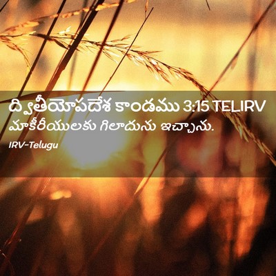 Picture 02 - ద్వితీయోపదేశ కాండము 3:15 TELIRV - మాకీరీయులకు - Bible Verse Picture