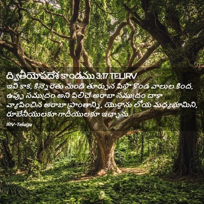 Picture 02 - ద్వితీయోపదేశ కాండము 3:17 TELIRV - ఇవి కాక, - Bible Verse Picture