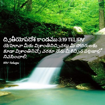 Picture 02 - ద్వితీయోపదేశ కాండము 3:19 TELIRV - యెహోవా మీకు - Bible Verse Picture