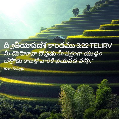 Picture 02 - ద్వితీయోపదేశ కాండము 3:22 TELIRV - మీ యెహోవా దేవుడు - Bible Verse Picture