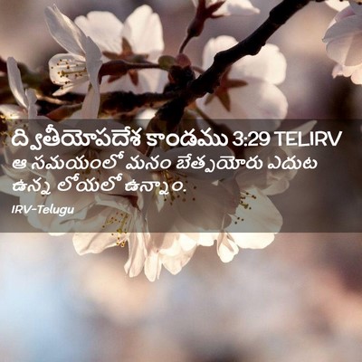 Picture 02 - ద్వితీయోపదేశ కాండము 3:29 TELIRV - ఆ సమయంలో మనం - Bible Verse Picture