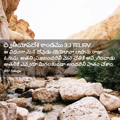 Picture 02 - ద్వితీయోపదేశ కాండము 3:3 TELIRV - ఆ విధంగా మన దేవుడు - Bible Verse Picture