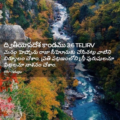 Picture 02 - ద్వితీయోపదేశ కాండము 3:6 TELIRV - మనం హెష్బోను రాజు - Bible Verse Picture