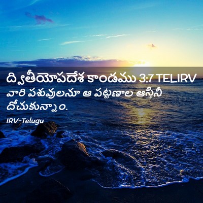 Picture 02 - ద్వితీయోపదేశ కాండము 3:7 TELIRV - వారి పశువులనూ ఆ - Bible Verse Picture
