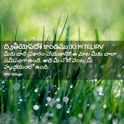 Picture 02 - ద్వితీయోపదేశ కాండము 30:14 TELIRV - మీరు దాని ప్రకారం - Bible Verse Picture