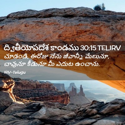 Picture 02 - ద్వితీయోపదేశ కాండము 30:15 TELIRV - చూడండి, ఈరోజు నేను - Bible Verse Picture