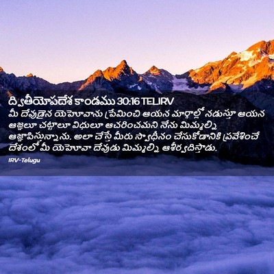 Picture 02 - ద్వితీయోపదేశ కాండము 30:16 TELIRV - మీ దేవుడైన - Bible Verse Picture