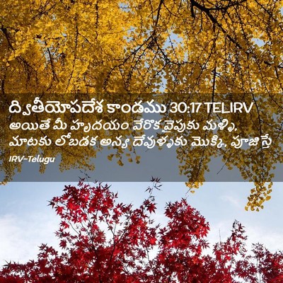 Picture 02 - ద్వితీయోపదేశ కాండము 30:17 TELIRV - అయితే మీ హృదయం - Bible Verse Picture