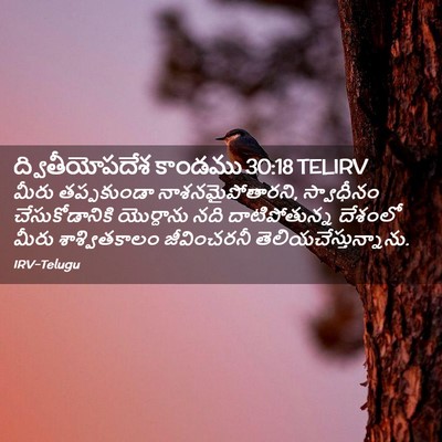 Picture 02 - ద్వితీయోపదేశ కాండము 30:18 TELIRV - మీరు తప్పకుండా - Bible Verse Picture