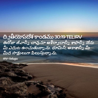 Picture 02 - ద్వితీయోపదేశ కాండము 30:19 TELIRV - ఈరోజు జీవాన్నీ - Bible Verse Picture