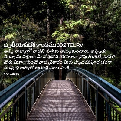 Picture 02 - ద్వితీయోపదేశ కాండము 30:2 TELIRV - అన్ని రాజ్యాల్లో - Bible Verse Picture