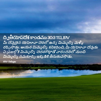 Picture 02 - ద్వితీయోపదేశ కాండము 30:3 TELIRV - మీ దేవుడైన యెహోవా - Bible Verse Picture