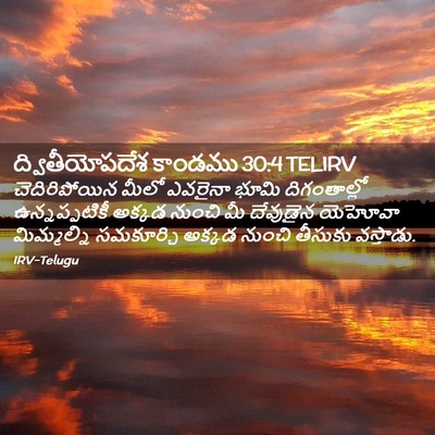 Picture 02 - ద్వితీయోపదేశ కాండము 30:4 TELIRV - చెదిరిపోయిన మీలో - Bible Verse Picture