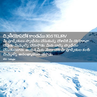 Picture 02 - ద్వితీయోపదేశ కాండము 30:5 TELIRV - మీ పూర్వీకులు - Bible Verse Picture