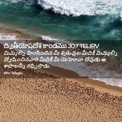 Picture 02 - ద్వితీయోపదేశ కాండము 30:7 TELIRV - మిమ్మల్ని - Bible Verse Picture